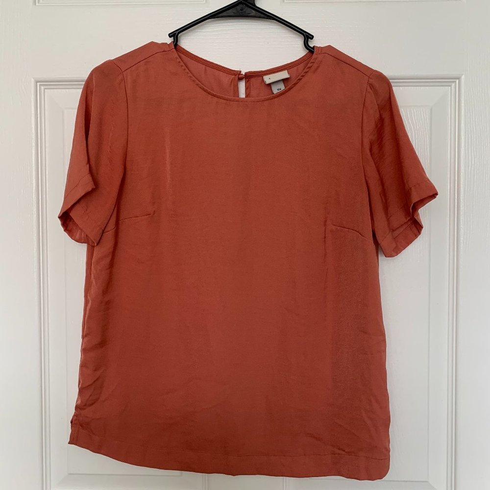 Blush Short-Sleeved A New Day Blouse